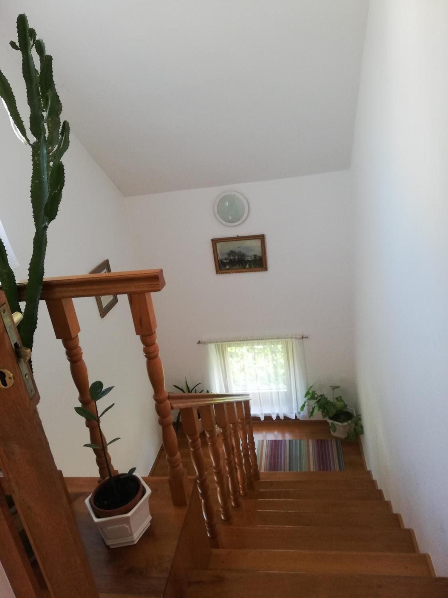 Apartament Viragos Vendeghaz Balatonfuered Zewnętrze zdjęcie